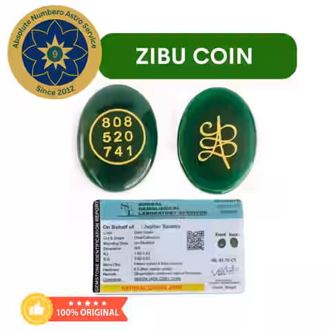 ZIBU COIN